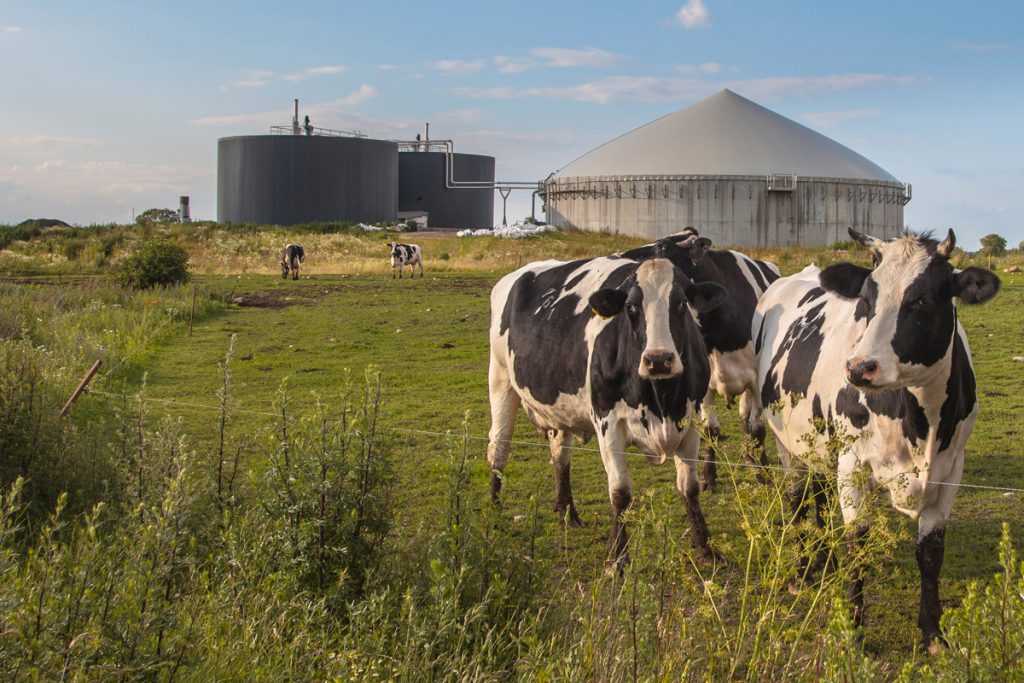 ENERGY TO PROVIDE LANDFILL GAS-TO-ENERGY PROJECT FOR NEW ENGLAND SOLID WASTE FACILITY