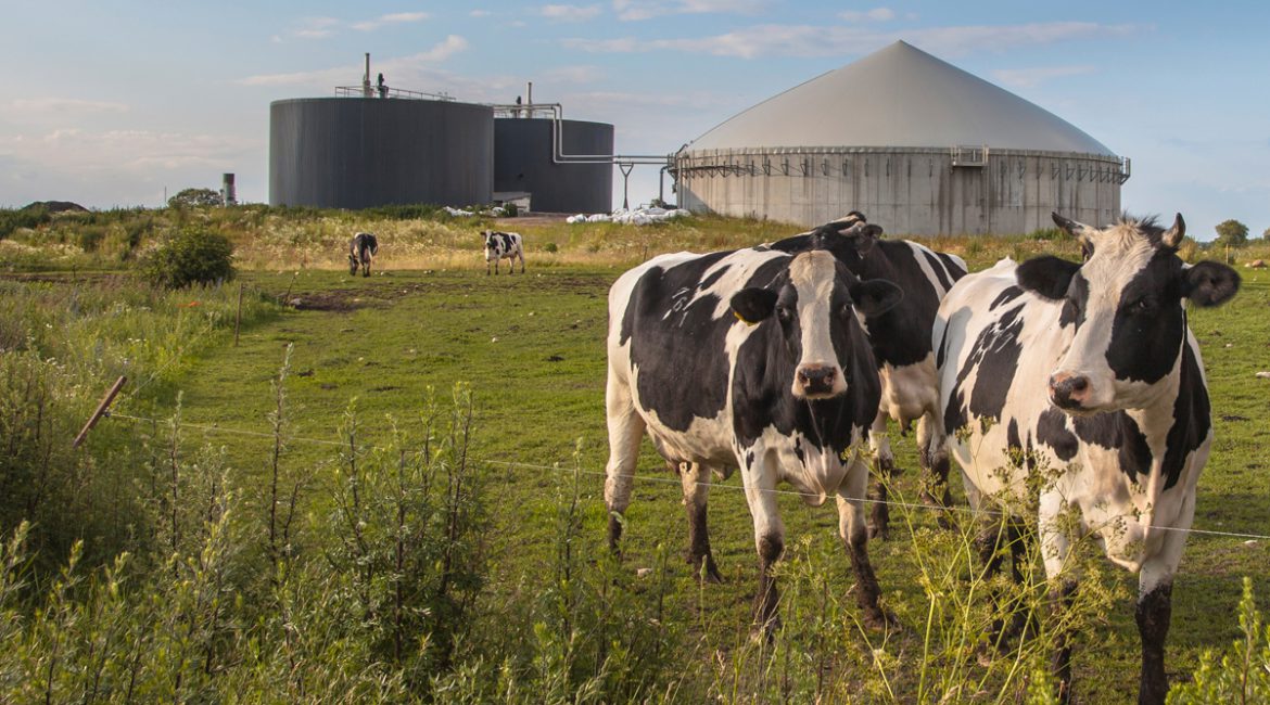 ENERGY TO PROVIDE LANDFILL GAS-TO-ENERGY PROJECT FOR NEW ENGLAND SOLID WASTE FACILITY